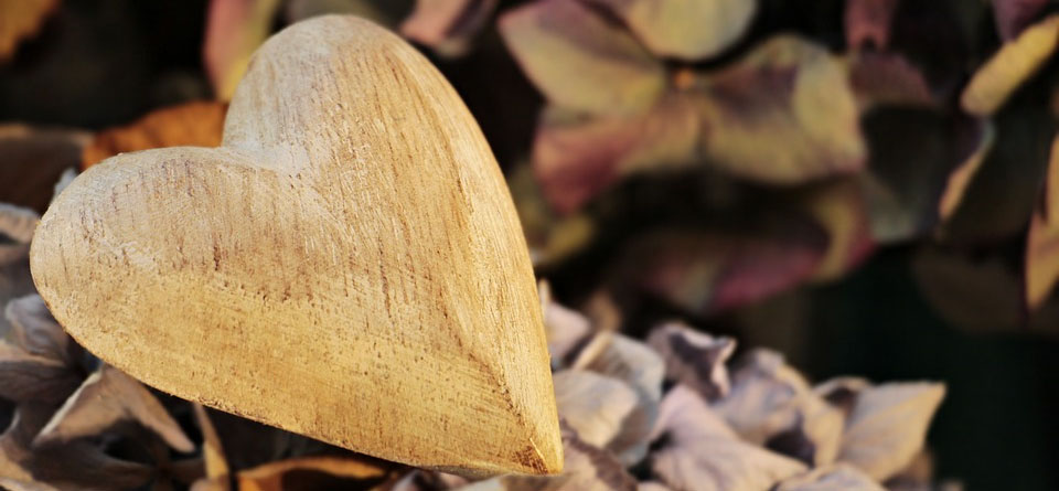 Cherish and Grow the Most Important Things in Your Life